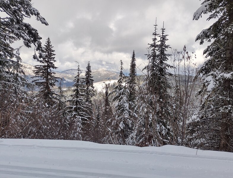 Views to the north from high on Lodgepole, on a snowy, winter afternoon.