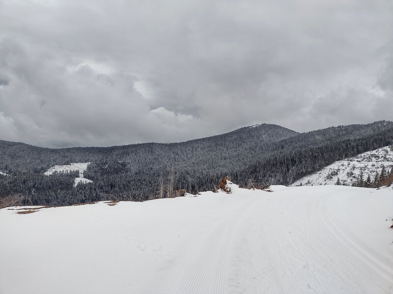 The forested high country of Mt. Spokane (Washington) State Park, a winter playground, as seen from Upper Outer Limits.