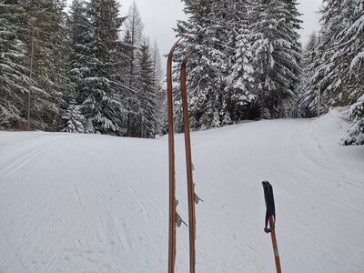 Mica Road goes left, Paper Trail goes right, in the beautiful, wintery, conifer forest of Mt. Spokane (Washington) State Park, a great place to cross-country ski.