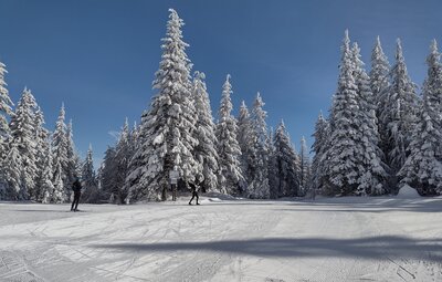 Trail junction J2 in ski season. Eight trails come together at junction J2.