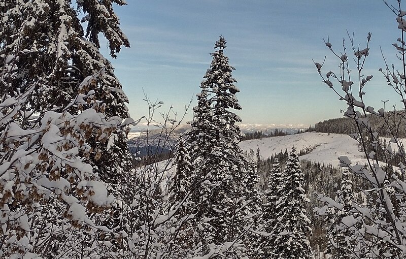 Distant, snowy mountain peaks to the east, are seen through the trees and bushes along Linder Ridge Road, in February.