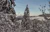 Distant, snowy mountain peaks to the east, are seen through the trees and bushes along Linder Ridge Road, in February.