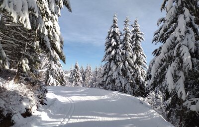 The views really open up, rounding a bend high on Quartz Mountain Loop.