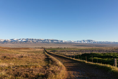 Approaching highway 138 with the snow covered Tehachapi Mountains in the distance.