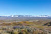 The snow covered Tehachapi Mountains beyond the rolling hills of Antelope Valley.