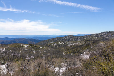 Blue mountain ridges in the distance.