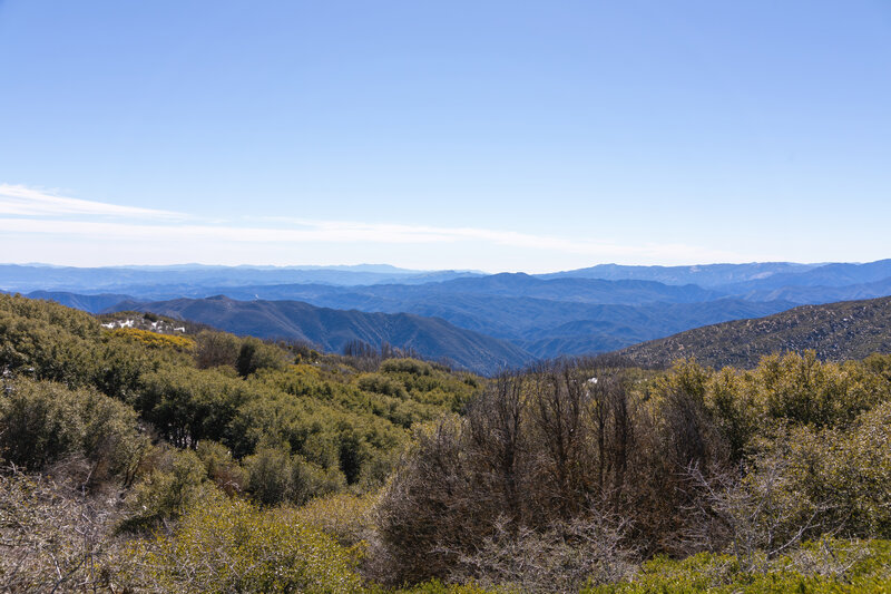 Bear Canyon