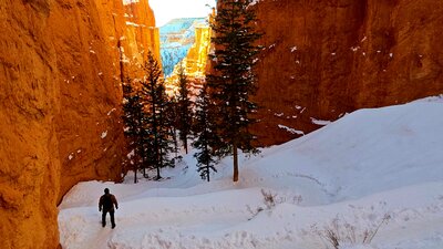 Sunrise on Navajo Loop Trail