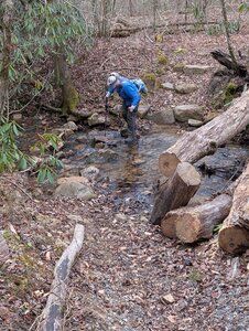 Crossing Basin Branch