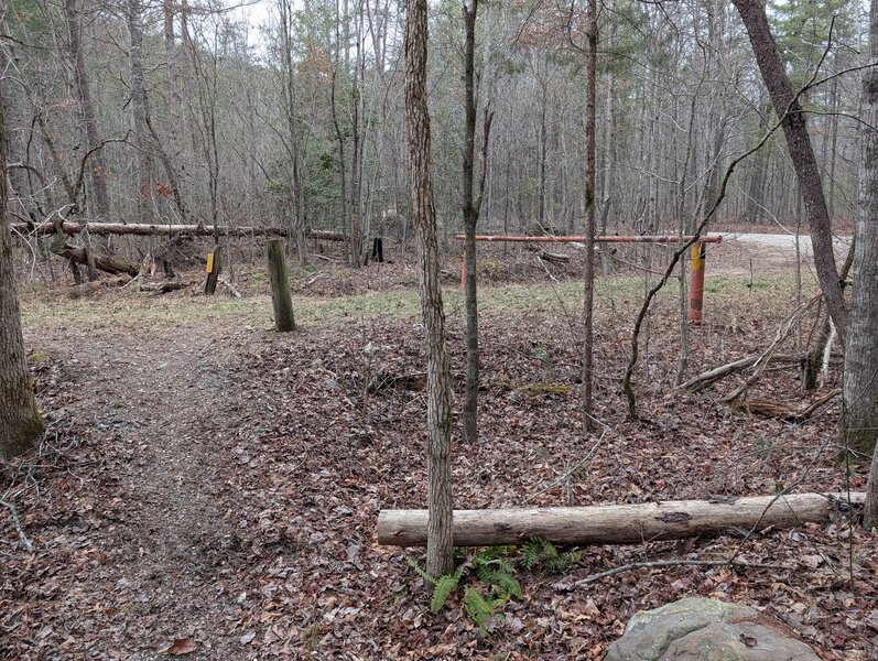 Start of old forest service road #3372.