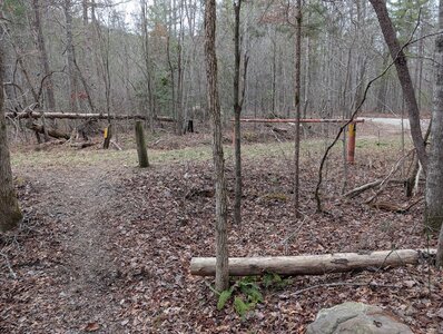 Start of old forest service road #3372.