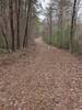 Wide old forest service road / trail