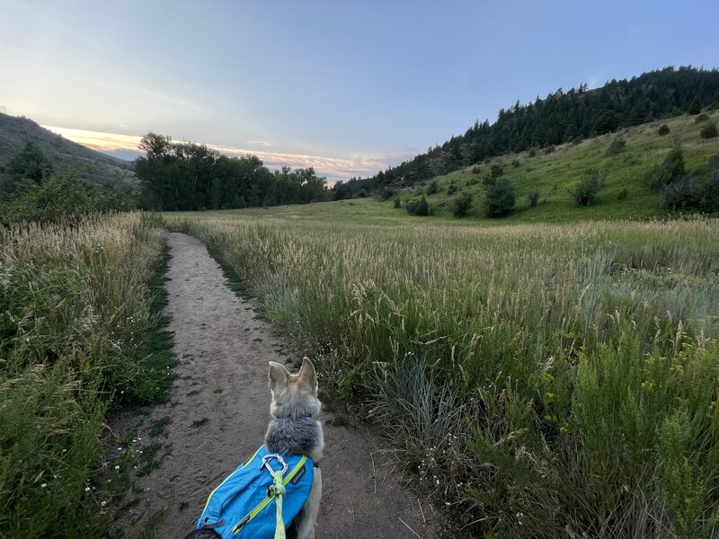 Back down in the valley close to where the trail links back up with Bear Creek Trail