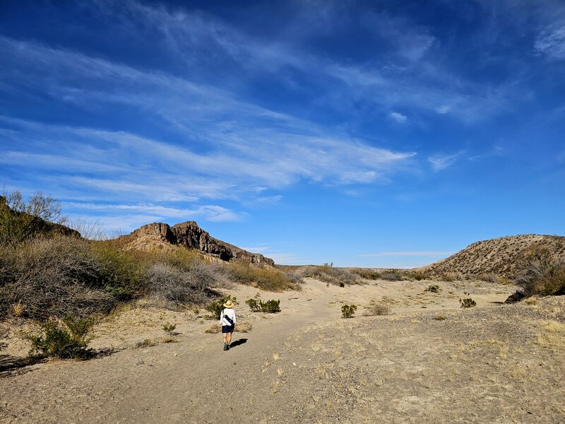 Along the banks of the Rio Grande.