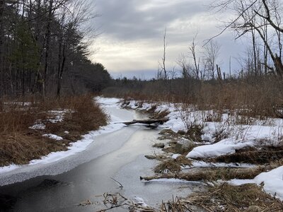 Overlooking the brook on a cold winter's morning.