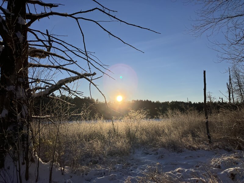 Sunrise over a frosty marsh.