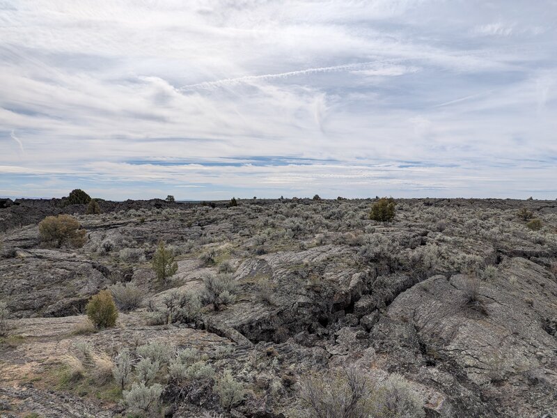 The trail after just getting started.