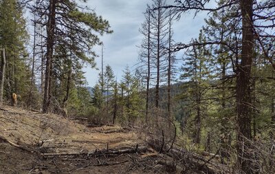 Unseen, Steep Creek is at the bottom of the nearby valley on the right and ahead, seen from high on Steep Creek Trail. Northern slopes of Peewee Peak are seen on the far side of this creek valley.