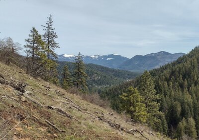 Nearby on the far right, are forested northern slopes of Peewee Peak. Southern slopes of Jasper Mountain are on the left. Prater Mountain, on the right, is in the distance. In the far distance are snow peaks of the rugged Selkirks.