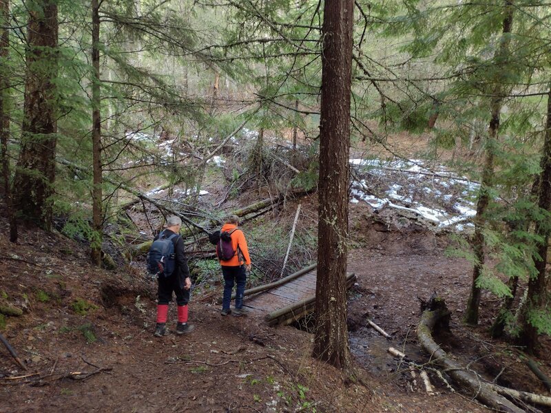 Crossing a small creek in the forest along Quartz View Trail.