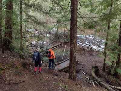 Crossing a small creek in the forest along Quartz View Trail.