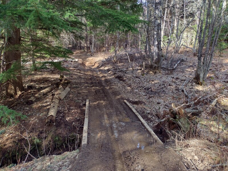 Bridge crossing a small creek in the forest, along John Wayne Trail.