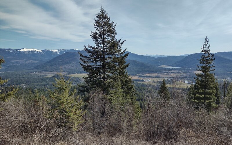 Hiding behind the tree (center), is Prater Mountain. the snowy peaks in the distance, on the left, are Selkirks. And far, far in the distance, right of center, between the two trees, are the Cabinet Mountains, 50ish miles away. Seen looking east.