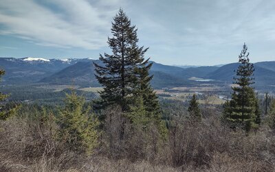 Hiding behind the tree (center), is Prater Mountain. the snowy peaks in the distance, on the left, are Selkirks. And far, far in the distance, right of center, between the two trees, are the Cabinet Mountains, 50ish miles away. Seen looking east.