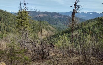 Mountains to the west, seen from high on Pee Wee Trail.