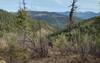 Mountains to the west, seen from high on Pee Wee Trail.