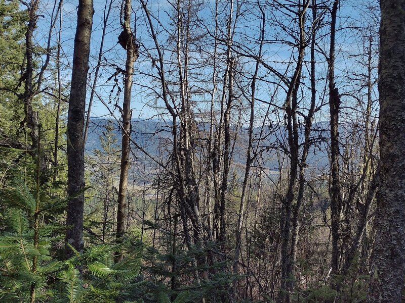 Limited, but still nice views through the trees, looking east from high on Pee Wee Connector.
