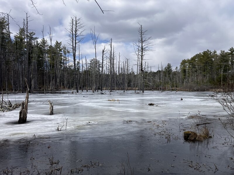 Ghost Meadow on a chilly spring day.