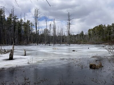 Ghost Meadow on a chilly spring day.
