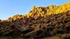 Balanced Rock Trail