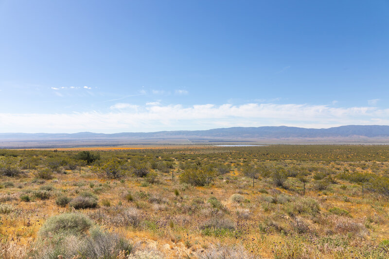 Expansive views across Antelope Valley.