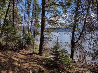 Priest Lake, set in the mountains, is seen through the trees from Beach Trail that follows the lake's shoreline.