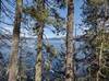 Nice view through the trees, looking north up Priest Lake to its far end, and distant, snowy Selkirk Mountains.