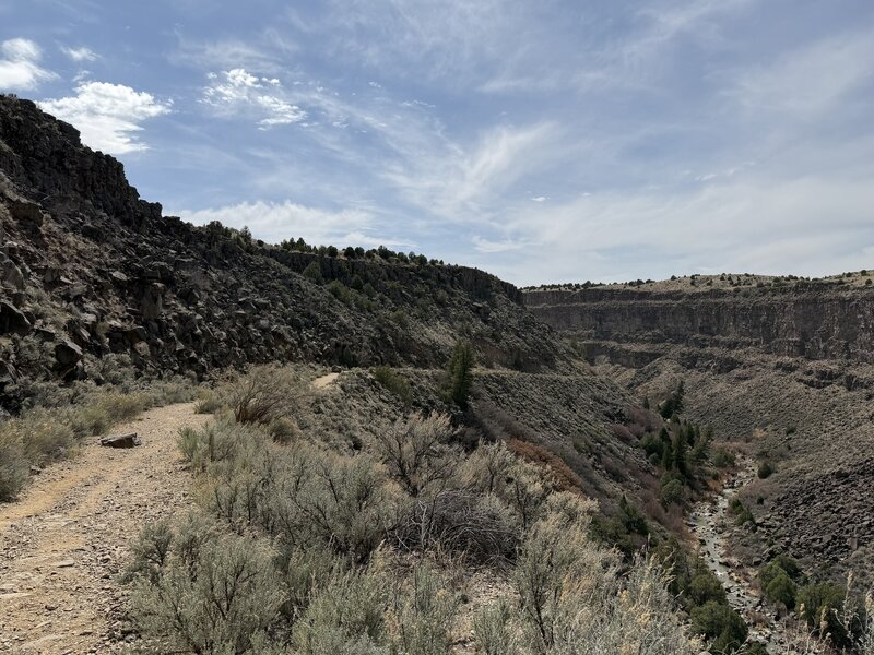 View of the trail and creek on the way down about 1/2 mile into the hike.
