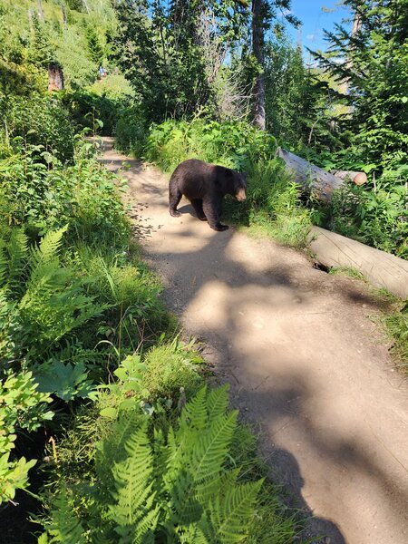 Always share the trails!
