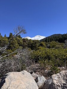 Mount Shasta