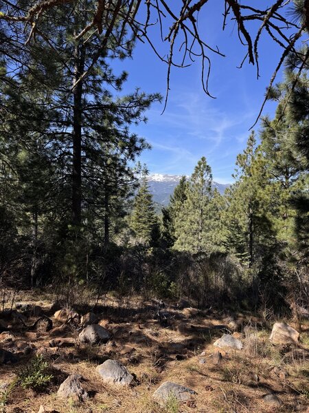 Mount Eddy from Gateway Trail on Shasta Mountain.