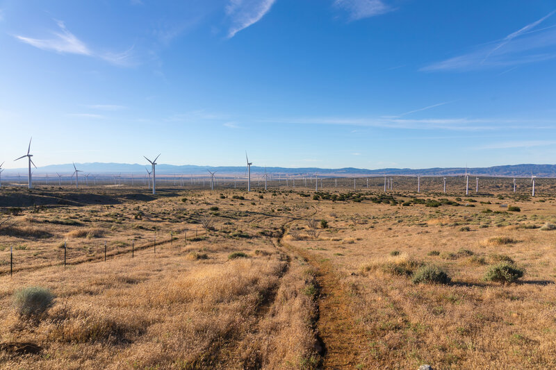 Half way across the wind farm, looking back across Antelope Valley.