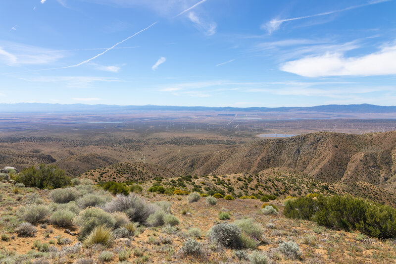 Antelope Valley with the Sierra Pelona in the distance.