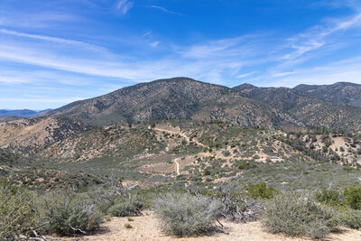 Covington Mountain