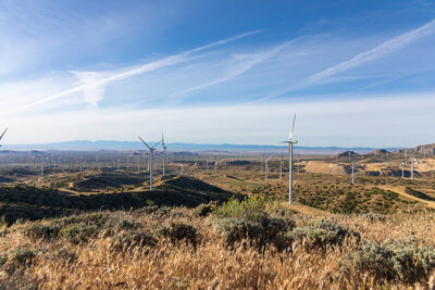 Wind turbines as far as the eye can see.