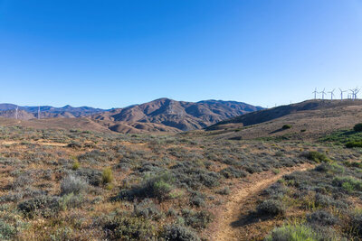 Pajuela Peak in the distance.