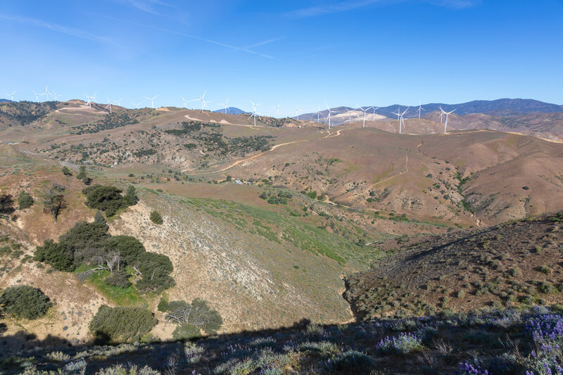 Cameron Canyon