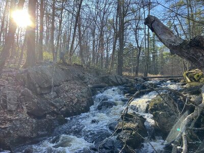 Sunlight over Ogunquit River.
