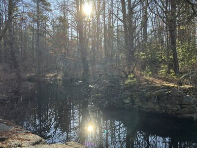 An old dam, off the Boardwalk Trail.