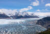 A closeup of Grey Glacier.